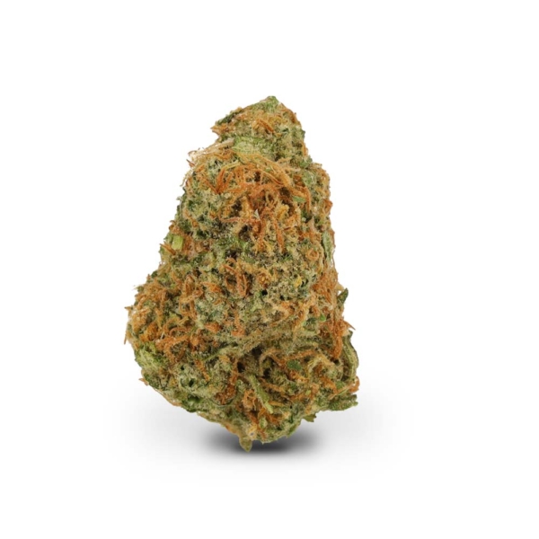 Gelato Dream