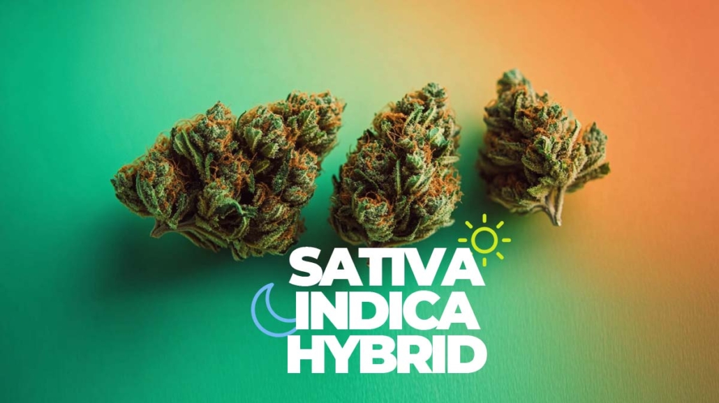 indica-sativa-hybrid-vergleich-energie-entspannung-blueten-sorten-weed-hanf