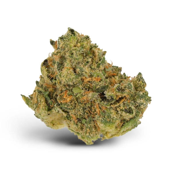 Critical Bilbo