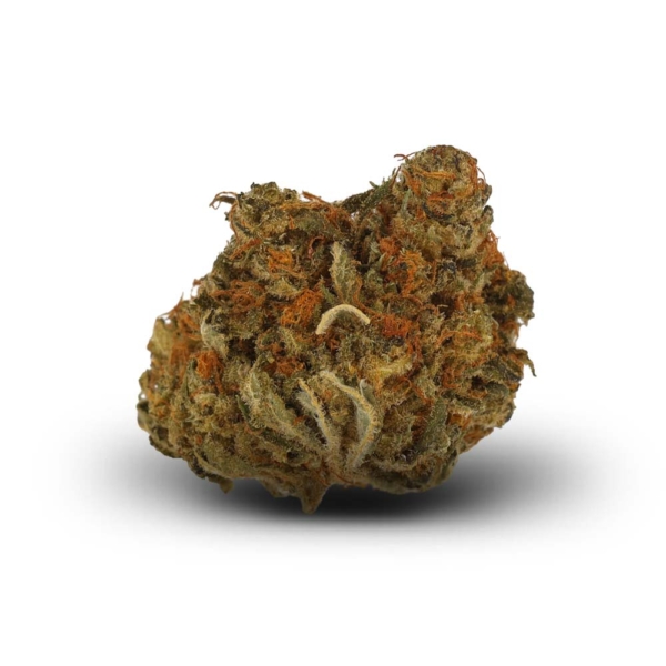 Cheddar Skunk