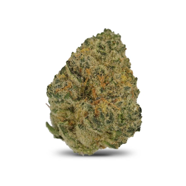 Polar Cookies