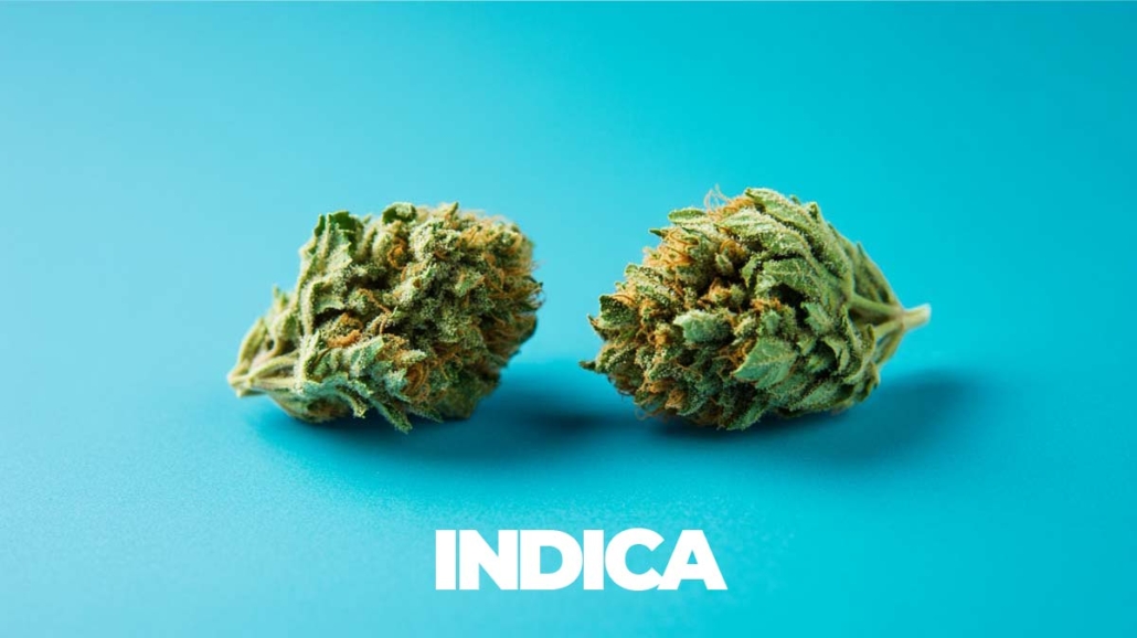indica-ruhe-entspannen-cannabis-sorten-hanf-thc-wissen-wirkung-aroma-terpene