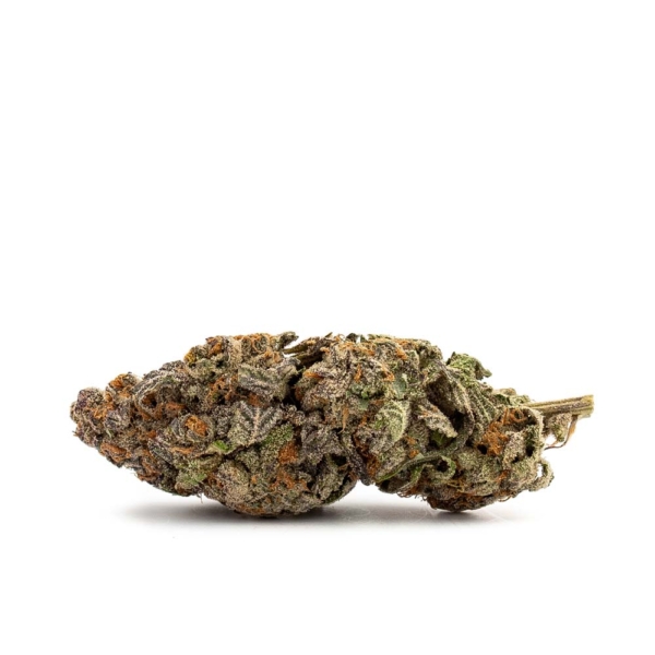 Blueberry Headband