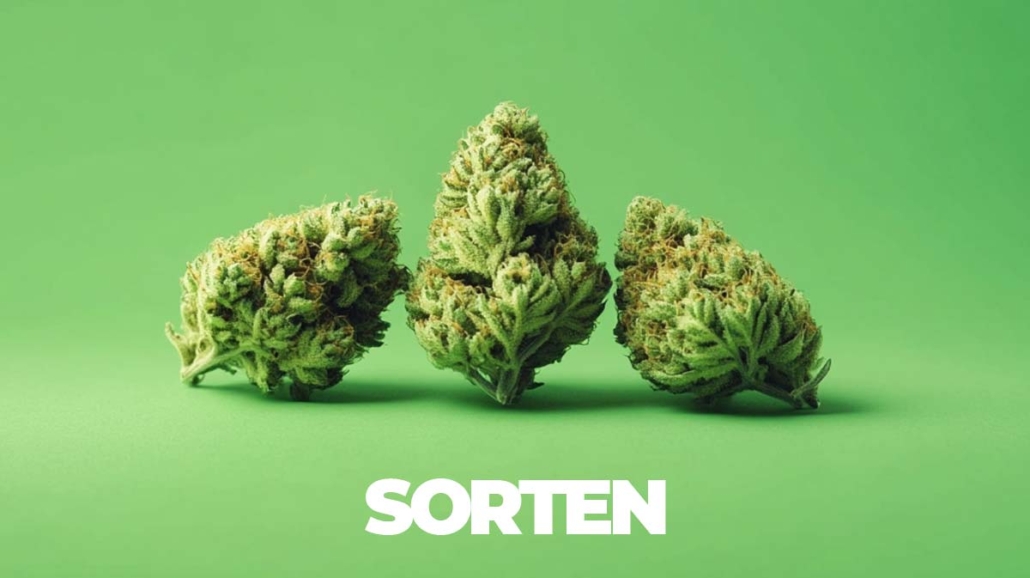 sorten2