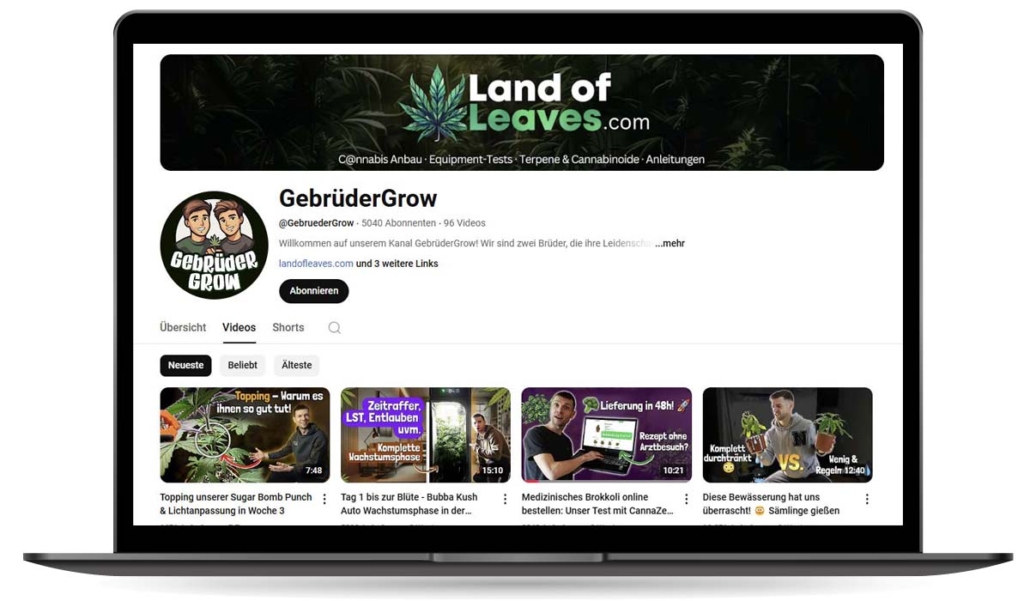 youtube-kanal-cannabis-weed-hanf-liste-youtuber-gebruder-grown-anbau-tipps-samen-pflanze-zuhause