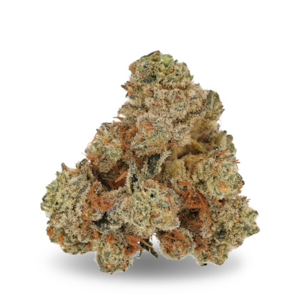 Platinum Oranges