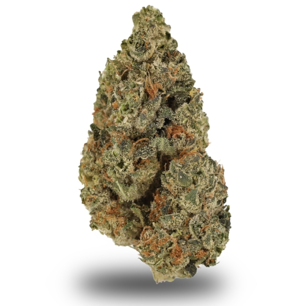 Grape LA
