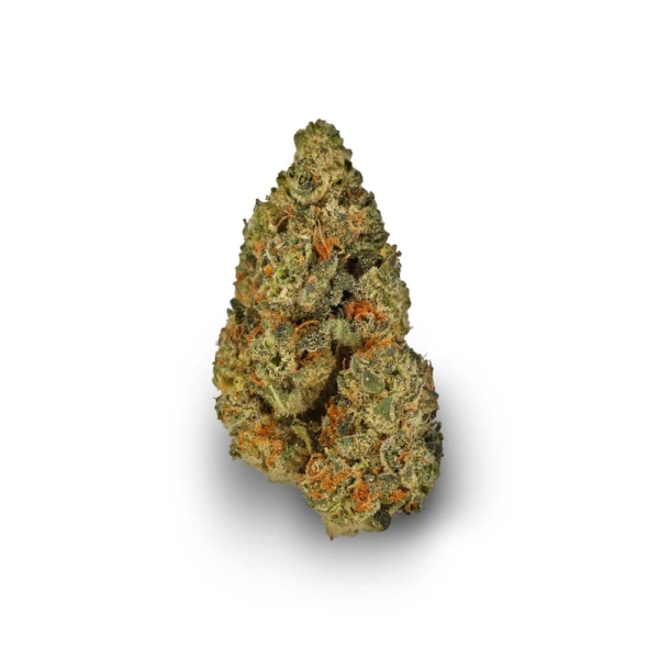Grape LA