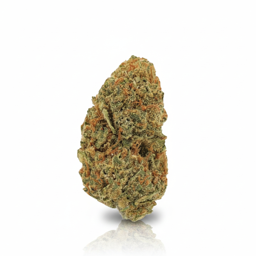 Jack Herer x 24,0% THC | Cannamedical