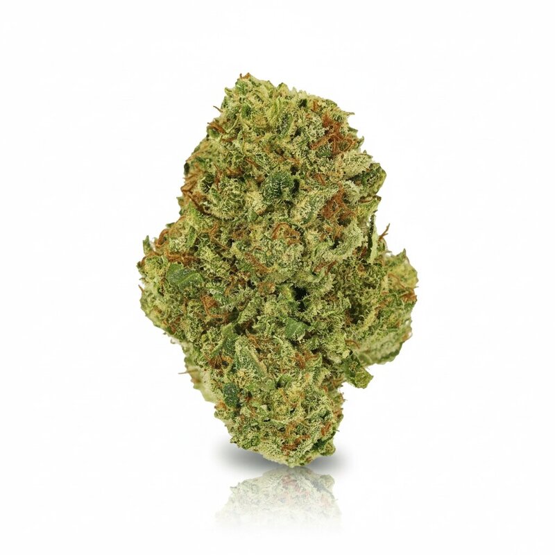 Watermelon OG x 20,0% THC | LUANA