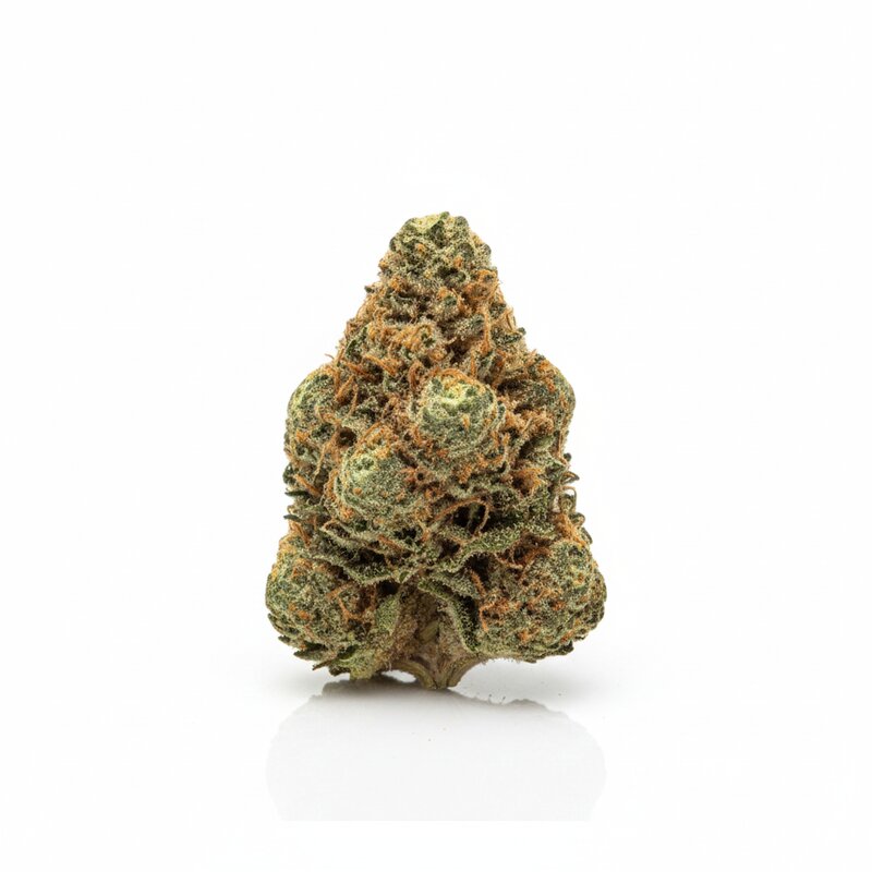 White Runtz x 24,0% THC | Budza